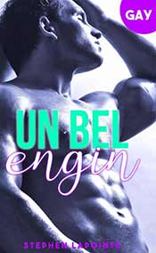 Lapointe Stephen - Un Bel Engin